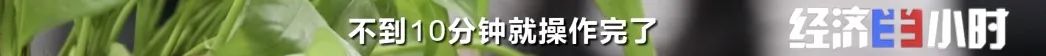 e550-58f07182151fb8640edbc5274ee60f8c